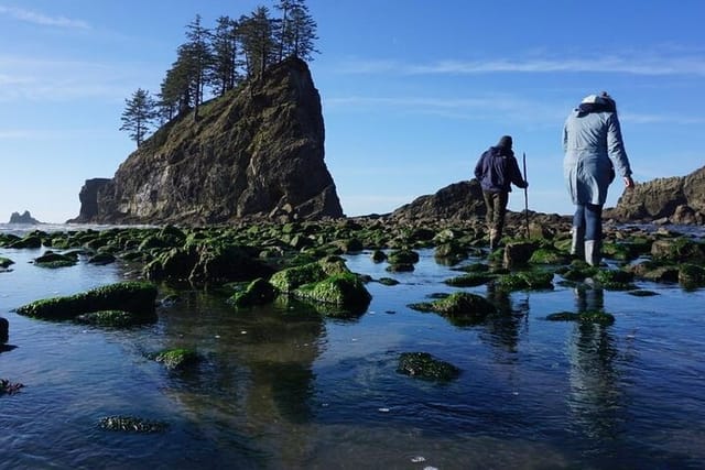 Experience the Spectacular Beauty of the Olympic Peninsula - Photo 1 of 10